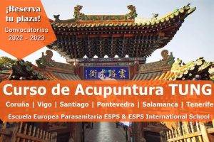 curso de acupuntura TUNG en Vigo